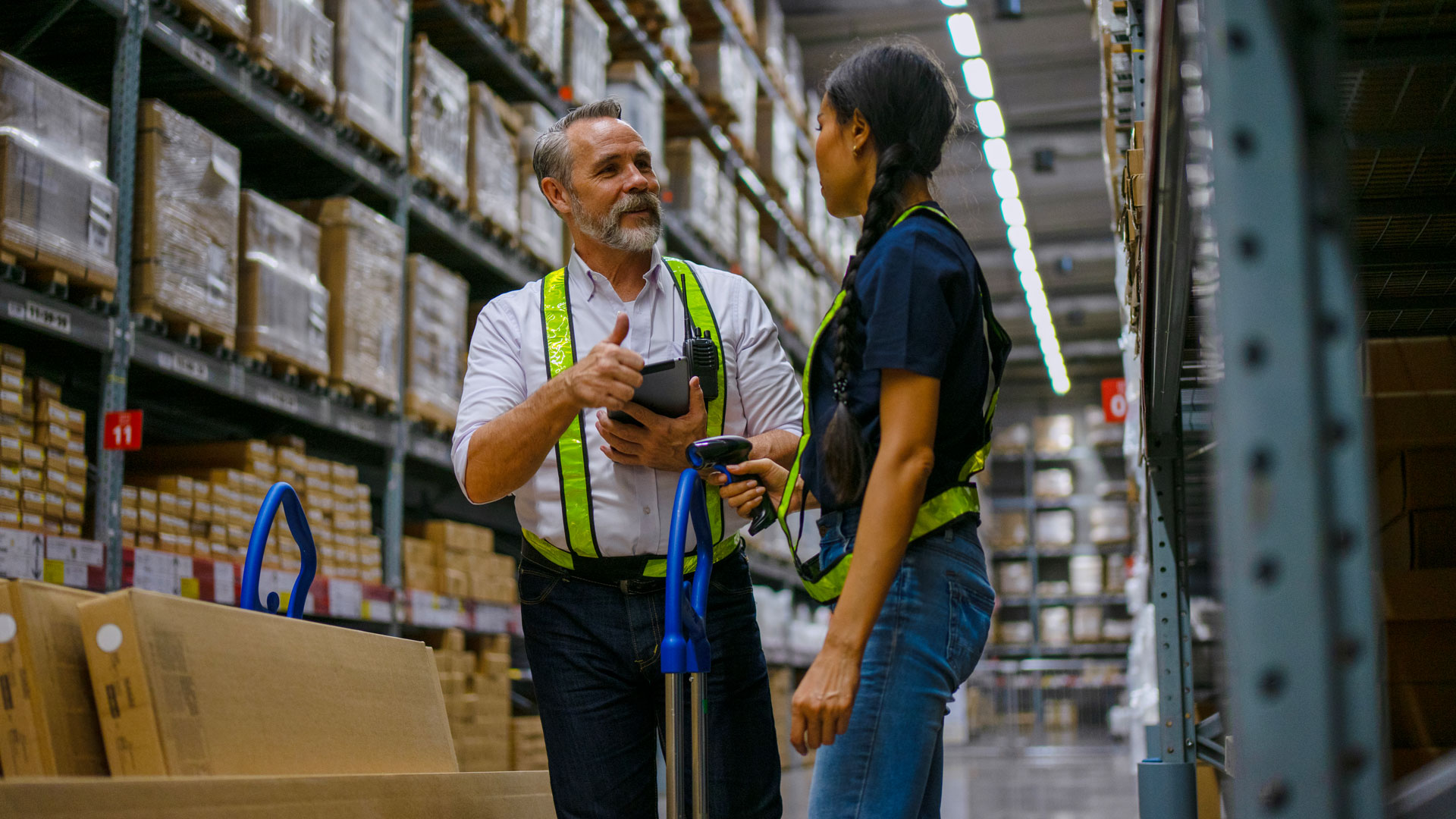 Logistics employees are working warehouse.