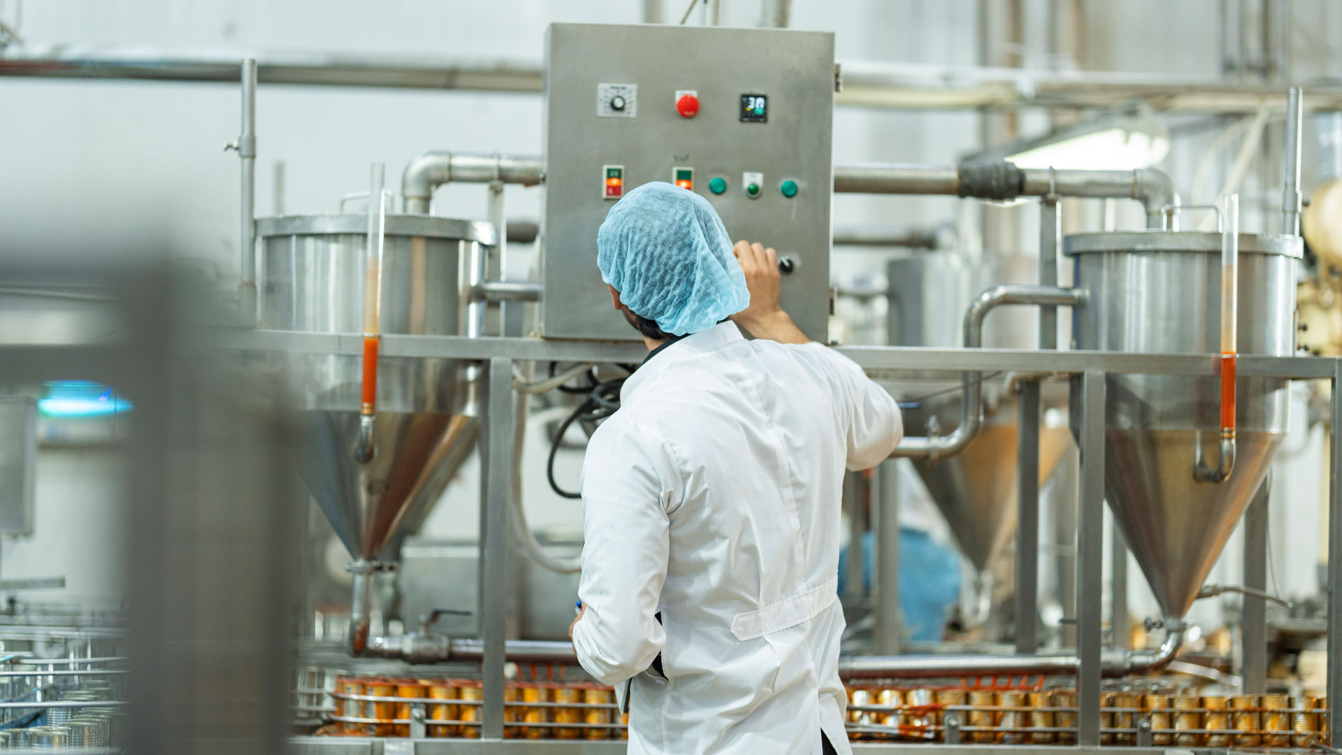 Inspector checking automated machinery in food production facility