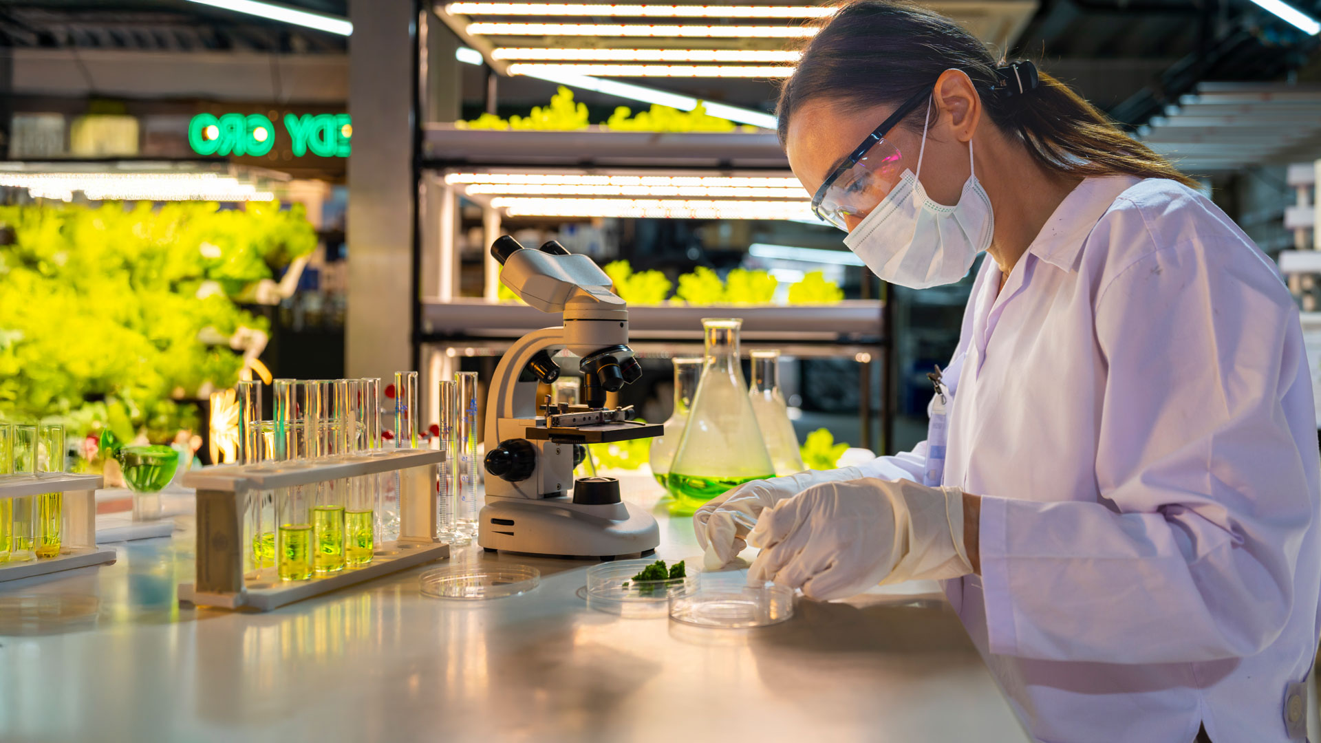 A scientist wearing a mask and gloves works in a lab